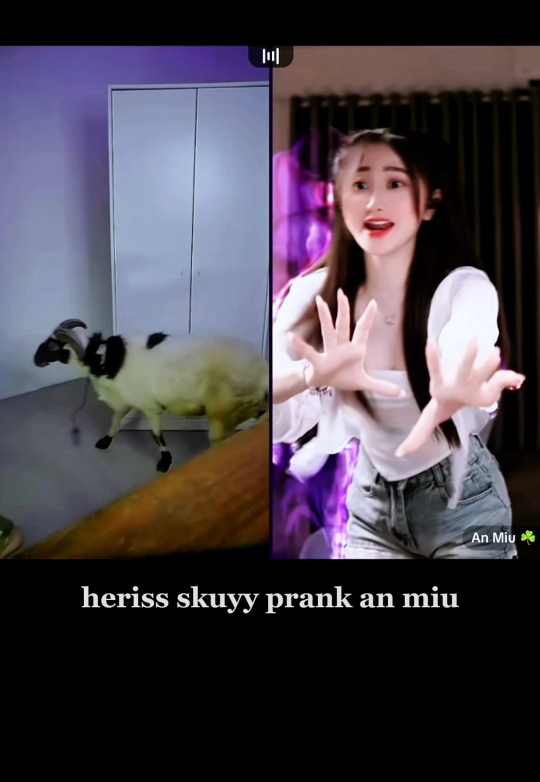 heriss skuyy prank an miu #fyp #herissskuyy #anmiu #prank #humor #funny 
