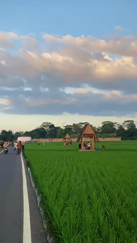 Pesawahan Viral di lembur pakuan semakin sore semakin ramai pengunjung #lemburpakuan #kangdedimulyadi #kdm #kampunghalaman #pilemburan #sawah #pesawahan #jawabarat #fyp #lemburpakuansubang 