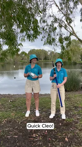 'Cause they're no ordinary EHO, they're from Queensland Health. 💦 Environmental Health Officers (EHOs) like Cleo and Emma (jk, not their real names) might not have magical powers, but they do collect water samples from beaches, pools and waterways to make sure it’s clean, clear and ready to make a splash. 🙌 Water testing checks for hidden nasties like E. coli and other bacteria that could ruin your beach day faster than you could say 'oh nurrrr, Cleo!' 😩 This waterway might not be Mako Island, but thanks to our EHOs, it’s safe enough for a mermaid, or humans, to enjoy. 🧜‍♀️❤️ P.S. just like mermaids aren't real (unfortunately), the water testing activity in this video is all make-believe. No real water was actually tested in the making of this video. 🧜💦 #NurCleo #H2OJustAddWater #Health