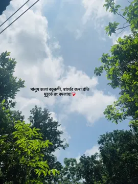 স্বার্থের জন্য প্রতি মুহূর্তে রং বদলায়!❤️‍🩹#viralvideo #foryou 