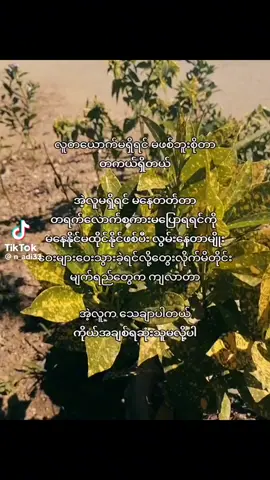 ဥပမာ-ငယ်