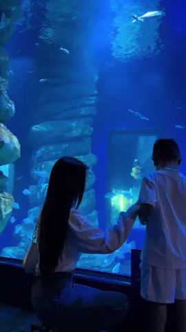 Chuyến đi mùa hè của ảnh và mẹ #trucphuong #tiktok #viral #xuhuong 