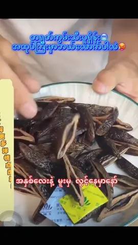 အထုပ်ကြီး မှာမယ့်သူလေးတွေ ရှယ်ဝါးရှယ်ပဲ ၊ အလုပ်လုပ်ရင်း လွင့်မှာလား 🤪 နိုက်အောက်ရင်း လွင့်ချင်တာလား 😵‍💫🙄 #ငွေလွှဲဝင်ပြီးမှပစ္စည်းပို့ပါတယ် #royalနဲ့အိမ်အရောက်ပို့ပေးမယ်နော် #မြန်မာတစ်နိုင်ငံလုံးကိုပို့ပေးပါတယ်နော် #တရုတ်ကွမ်းချိုမွှေး #တရုတ်ကွမ်းပေါင်း #တရုတ်ကွမ်းသီး #betelnut #arecanut  @Online Betel nut (လက်လီလက်ကား)  @Online Betel nut (လက်လီလက်ကား)  @Online Betel nut (လက်လီလက်ကား) 