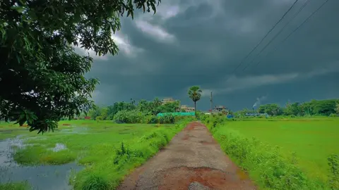 সবাই স্বার্থ শেষ হইলে চলে যাবে 🤗🦚 . #creatorsearchinsights  #trending #islamic_video #foryoupage #islamicreminders #ইসলামিক_ভিডিও_🤲🕋🤲 #naturelover #foryou #naturevideos 
