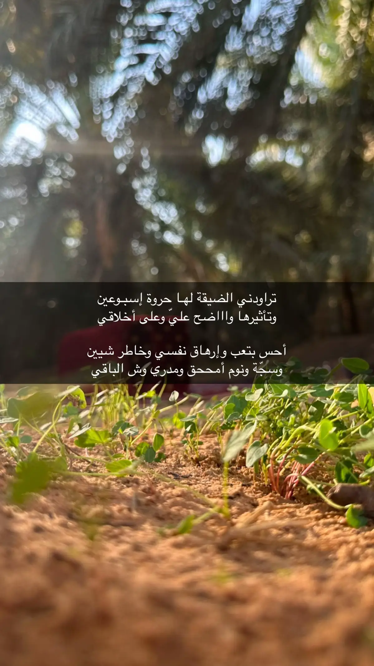 #اكسبلور #قصايد_شعر_خواطر #حكم #عزةالنفس #صباح_الخير 