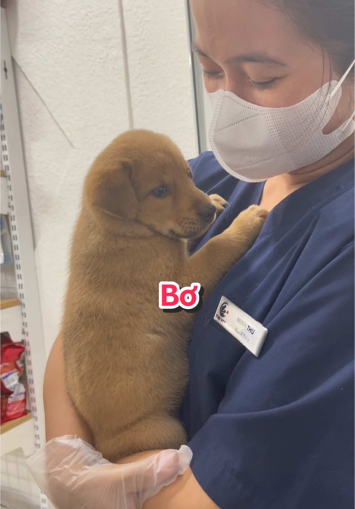 Mới lần đầu ra mắt bác sĩ nên Bơ còn hơi ngại ☺️