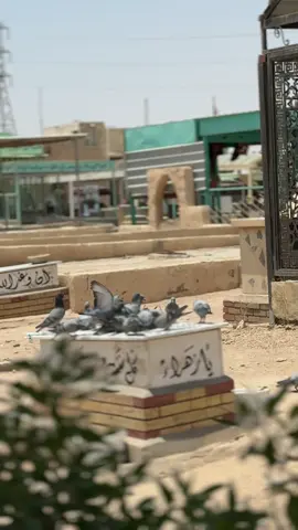 #وادي_السلام 