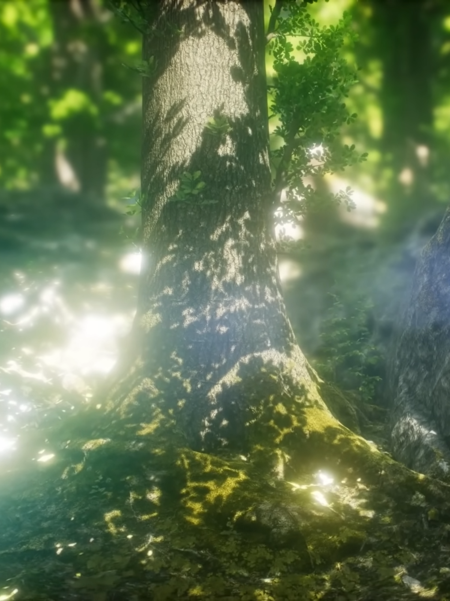 Relax for 1 hour with magical relaxing music by Peder B. Helland 💚 Tracklist: 0:00 - Forest Whisper (Radio Edit) 02:40 - Dance of Life (Radio Edit) 05:15 - The Eagle (Radio Edit) 07:54 - Our Future (Radio Edit) 11:26 - Unknown Lands (Radio Edit) 15:09 - My Rose (Radio Edit) 18:40 - Feelings (Radio Edit) 22:15 - Thoughtful (Radio Edit) 25:41 - Sunny Mornings (Radio Edit) 27:56 - Warm Light (Radio Edit) 30:54 - Sunny Days (Radio Edit) 34:05 - Early in the Morning (Radio Edit) 36:57 - Morning Whisper (Radio Edit) 41:02 - The Campfire (Radio Edit) 44:21 - You & Me (Radio Edit) 47:33 - Our Journey (Radio Edit) 50:43 - Together (Radio Edit) 53:54 - Rose Petals (Radio Edit) 56:40 - Always (Radio Edit) #relaxingmusic #soothingrelaxation #relaxing #nature #pederbhelland #calm #pianomusic #calmmusic #spamusic #yogamusic #meditationmusic #soothing #guitar #cello #fantasymusic #ethereal #fantasy #sleepmusic #relax