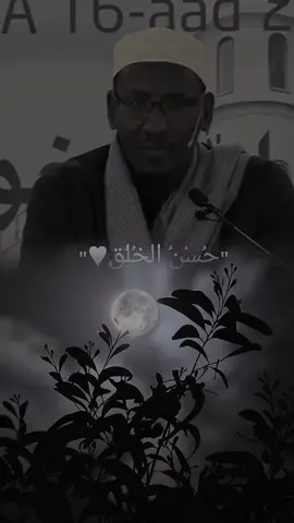 Dabeecad wanaagsan#sheekhcabdirashidcalisufi #sheekh_xusen_cali_jabuti #maryama #مريم🤍❤🤍❤🤍 #sheekhmustafe_xaajiismaaciil #viral_video #fypシ゚ 