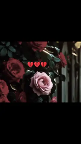 #fyp #fypシ゚ #contentcreator #creatorsearchinsights #viralvideos #viral_sound #arewamelody #🥀🥀🥀🥀🥀🥀🥀🥀🥀🥀🥀🥀🥀🥀🥀 #🥰🥰🥰🥰❤️❤️❤️ #arewablog @creator search insights 2025 @𝑨.𝑭 𝑰/𝑪𝑹𝑬𝑨𝑻𝑶𝑹 