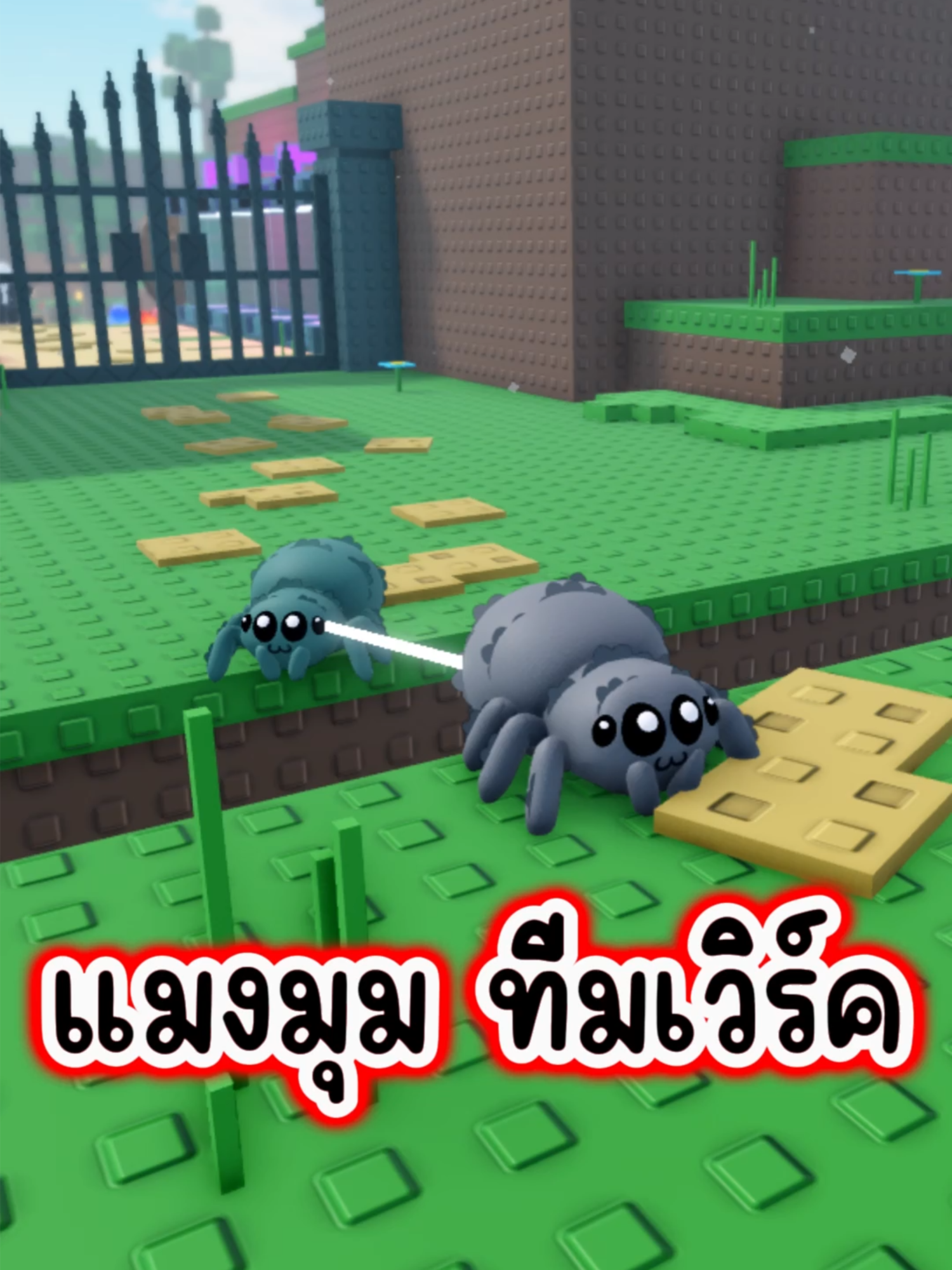 แมงมุมทีมเวิร์ค | Roblox : Webbed 2 Player Obby