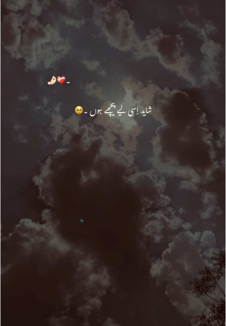 غداری نہیں آتی 🥹❤️‍🩹. #foryou #foryoupage #poetry #poetrystatus #asthetic #grow #account #1million #yousaf_vibes1 