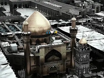 أنتَ لِواء الفَخر والمَناقب ✨🤍 #باسم_الكربلائي #ياعلي #الامام_علي_بن_ابي_طالب #عيد_الغدير #علي_بن_ابي_طالب #تصاميم_مرتضى🖤🌿 #مرتضى_🖤🌿 