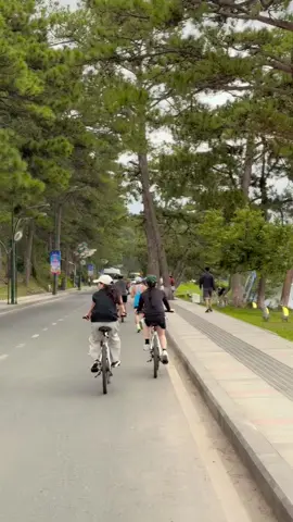 “Em ơi đời có rất nhiều điều đáng trân quý, và em là điều đầu tiên”#xedap #dalat #chill #hoxuanhuong #N 