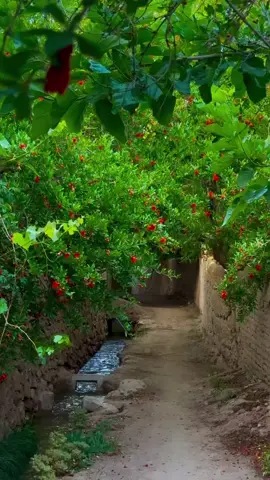 #لااله_الا_انت_سبحانك_اني_كنت_من_ظالمين #