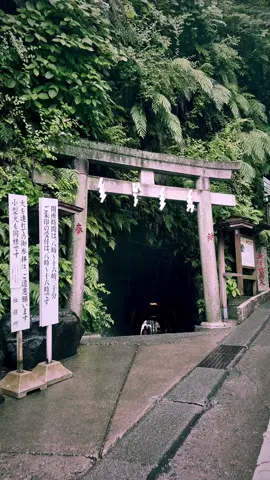 Zeniarai Benten Shrine (Kanagawa) / 銭洗弁天 A shrine in Kamakura where washing money is said to bring good fortune🤩⛩️✨ Please follow 👉@japan_walker_    Please Share 🥰🙏✨ Please follow 👉 My TikTok account  Please Subscribe 👉 My YouTube channel #japan #japantravel  #japantrip #anime　#kanagawa #神奈川 #kamakura #kamakurajapan #銭洗弁財天 #銭洗弁天 #鎌倉 #traveljapan #tripjapan #japan🇯🇵 #rain #shrine #torii 