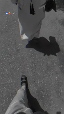 #النجف #foryoupage  #تصميم_فيديوهات🎶🎤🎬  #شعراء_وذواقين_الشعر_الشعبي🎸  #fyp #اكسبلور #ستوريات 