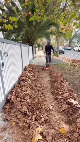 #clean #cleaning #garden #gardencleaning #unclogging #fyp 