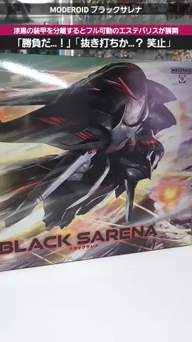 【プラモデル】可動機構を残しながらエステバリスへの完全分離が可能！MODEROIDブラックサレナ #機動戦艦ナデシコ #plamo #nadeshiko #gundam #gunpla #モデロイド