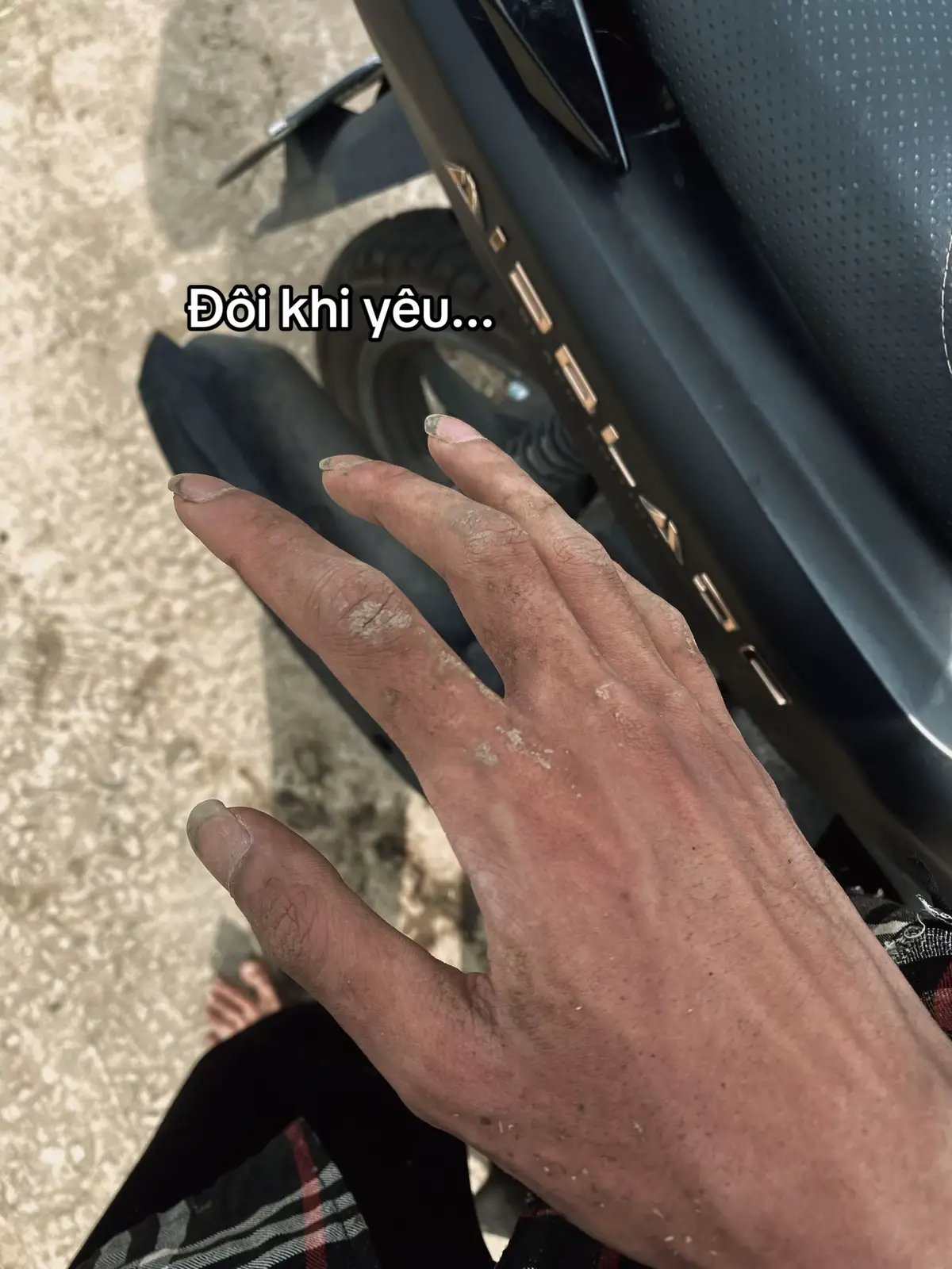 Dạ#tiktok #xuhuonggggggggg #haiphong 