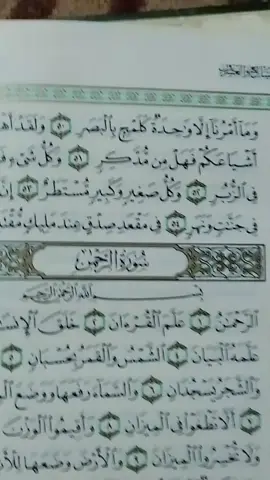 #اكسبلور #قرآن #اكسبلور #اكسبلور 