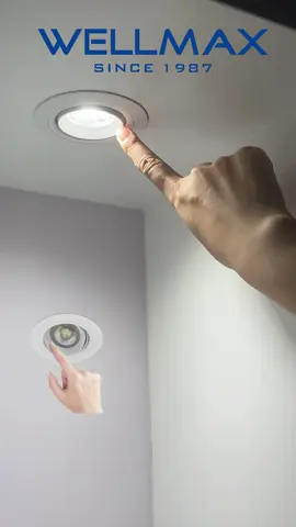 sleek and so easy to install .#wellmax #downlight #leddownlight #ledlight #ceiling #light #ceilinglight #spotlight #led #color #stellaceiling