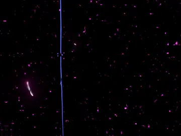 العشق انتي يحتيتي 🫵🏻🥹🫶🏻  . . #عصام #عصام_صاصا_الكروان🖤🎤 #حالة_حب #حالات_واتس2025#الترند_الجديد #ترند_تيك_توك #الرتش_فى_زمه_الله💔 #منشن_للي_تحبه #حركة_إكسبلور #ليك______🖤___متابعه____اكسبلووور #eslam💸💸 #مصمم_حالات_واتس #