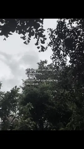 dạo nay flop quá taa #iwthng #viral #xuhuong #story #tamtrang #tieucuc #xh #fyp #xhuong #xuhuongtiktok #xhhhhhhhhhhhhhhhhhhhhhhh 