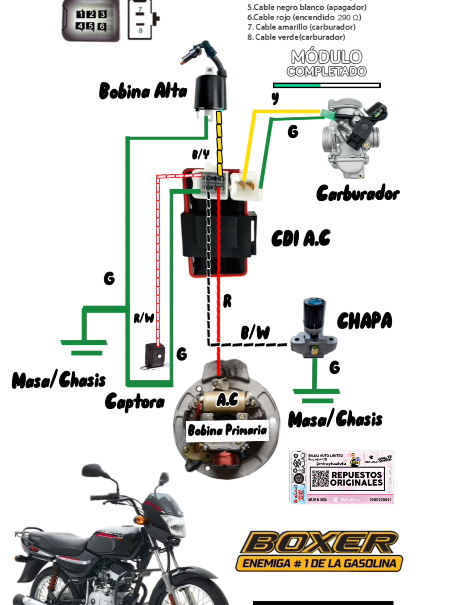 Sistema Encendido Kawasaki Bajaj Boxer Ct 100 c.c CDI 8 PINES Diagrana #cdiboxer #repuestosdemotos #boxermotorcycle #bajajavenger220street #bajajrouser #motosboxerbolivia #bajajboxer150 #bajajdiscover125st #bajajpulsar135 #diagramasmotos #CDI