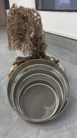 Kitchen flour sieve starter  60 super fine mesh  stainless steel quality  15/2025cm#bakingtools #floursieve #powdersifter #kitchentools 