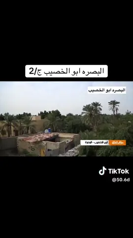 #الشعب_الصيني_ماله_حل😂😂🙋🏻‍♂️ 