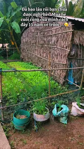 Mình ước có thể quay về quá khứ một lần nữa … không phải để thay đổi điều gì cả mà chỉ muốn ngắm lại khoảnh khắc ấy thêm một lần nữaaa #8x9x #quehuong #hoainiem #xuhung #tuoitho #kiuctuoitho #mientayquetoi #binhyen 