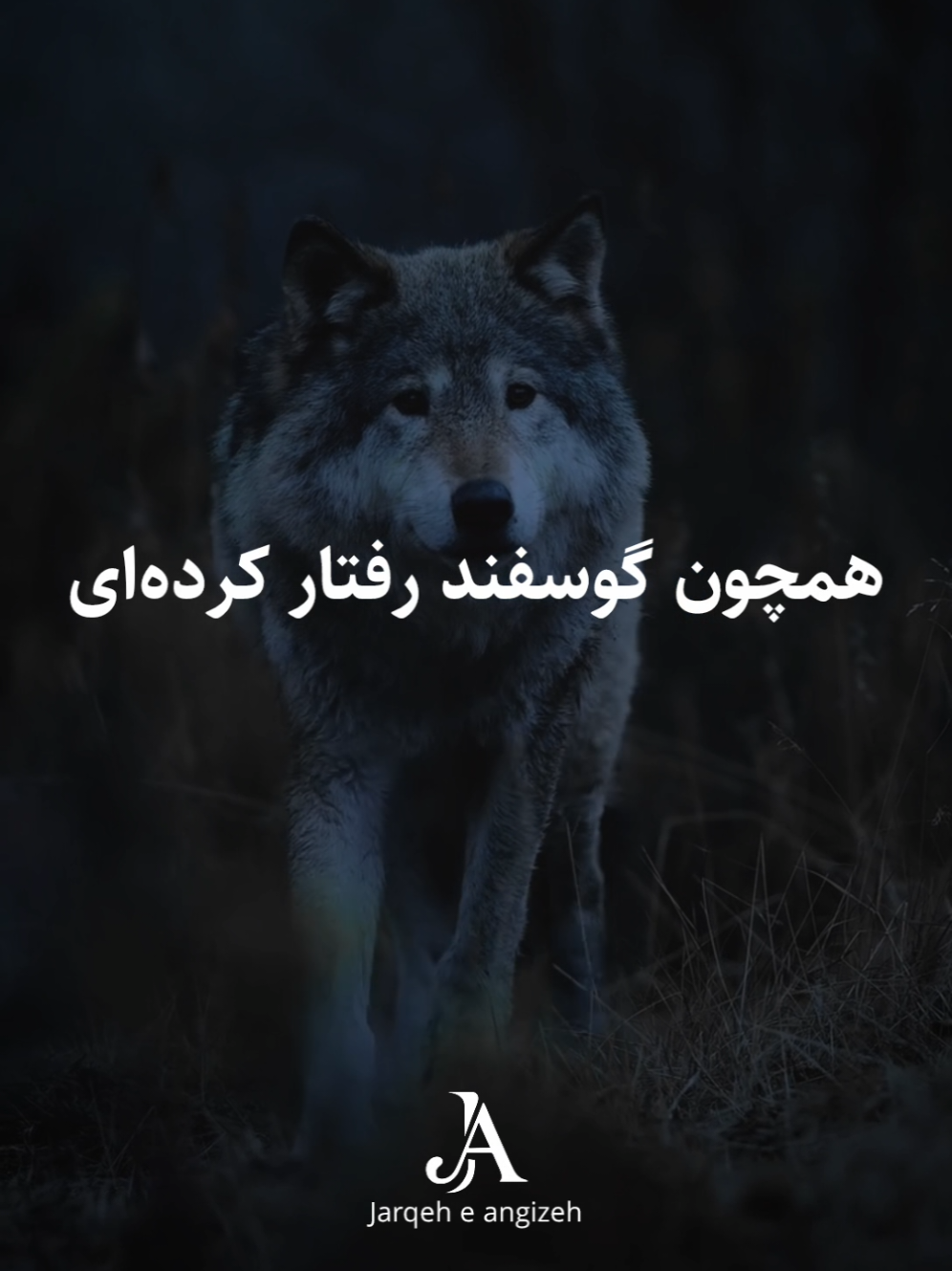 تقصیر از توست! #انگیزه #پیشرفت #انضباط #موفقیت #هدف #foryou #100k #motivation 