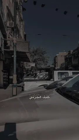 #CapCut  كلبك هجرني🫩✨ #قصائد #قصائد_حسينيه #علي_الرميثي #شعب_الصيني_ماله_حل😂😂 #اكسبلورexplore 