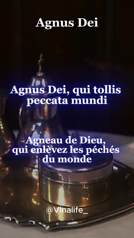 Agnus Dei #agnusdei #catholic  #tiktokpourtoi #messe  #eucharistie #communion  #pain #devie #jesusismysavior  #amourinconditionnel #chantcatholique  #louangeadoration #worshipsongs  #jesuscristo #partage  #chretienlife #lyrics_songs #tiktokcatolico