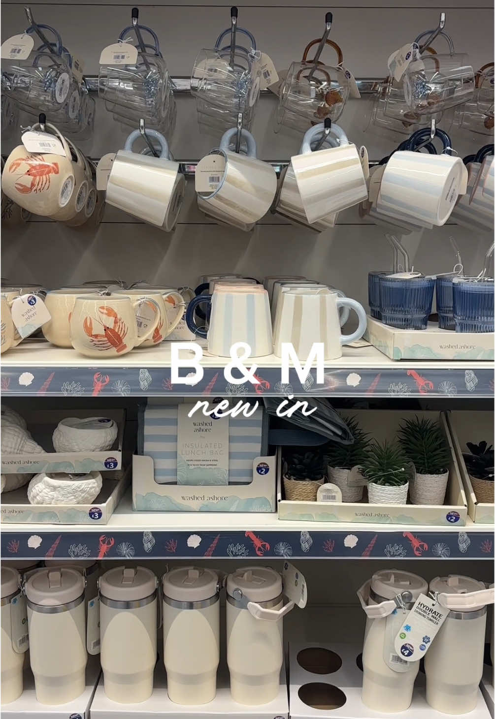 Wow wow wow @B&M Stores 👏🏻😮‍💨⭐️🤎🐚 absolutely loving this washed ashore range ready for summer ☀️ #bandm #shopping #shoppinghaul #homeware #homedecor #washedashore #beachvibes #bandmhaul #beachday 