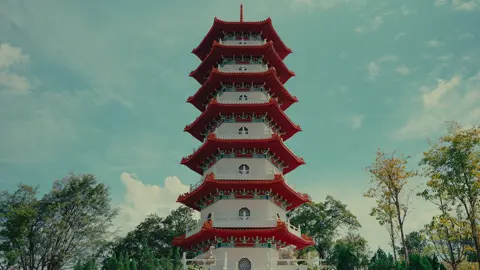 #sonyalpha #videography #nature #singapore 