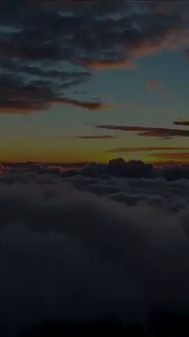 Surah Al-Ma'idah #quran #quran_alkarim #quranrecitation #quranswahili #quranvideo #allah #allahuakbar #muslim #muhammadalghazali #islamic_video 