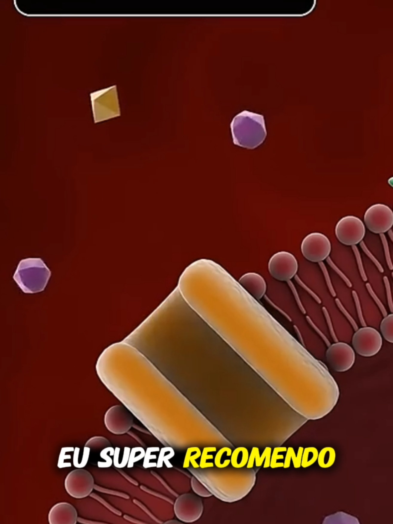 A Verdade Sobre Magnésio Dimalato para Diabéticos #saude  #diabetes 