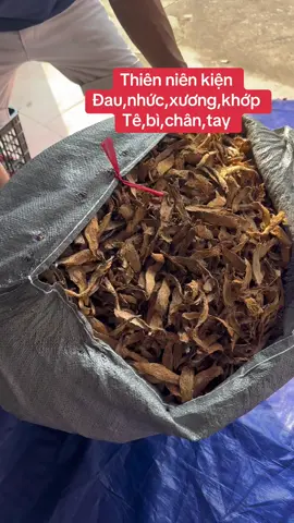 @08;25;:558;:012#thaoduocthiennhien #thoatvidiadem #dauthankinhtoa #tebichantay #daunhucxuongkhop #xuhuongthinhhanh 