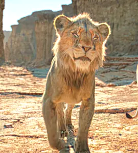 Scar King 👑 - Villains are not born villains #scarking #mufasa #lionking #fyp #edit #scar 