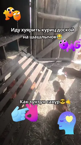 ЭТО ЧЁРНЫЙ ЮМОР🤷‍♀️!!! 😡😡😡#черный #юмор #смешно #смехуятина🤣 #elbruso #fyp #on #rge ##лето #курицы #курочки #курочка #курица #курицынесушки🐔 #популярное 