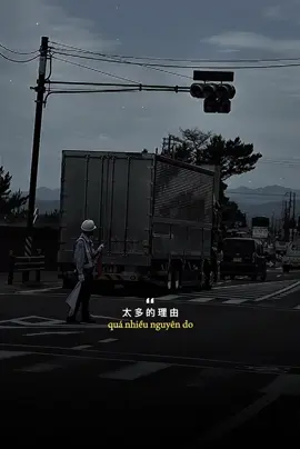 太多 / Quá Nhiều.        #daivy95 