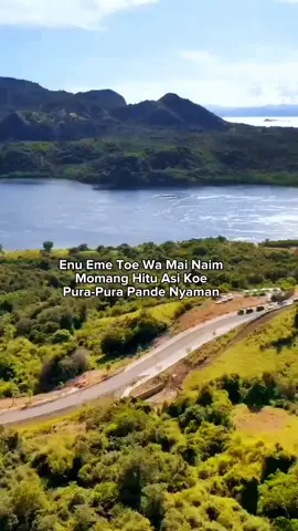 #lagumanggarai #viralvideo #jaganlupafollow #kontenhiburan #fyp #manggaraipride🔥🏝 #biarfypngab #share #storywa #kabarinkalofyp #bantuinfypdong #semogafyp 