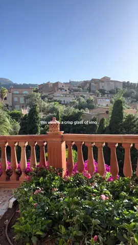 this & a crisp glass of vino #mallorca #deia #valldemossa #mallorcaspain 