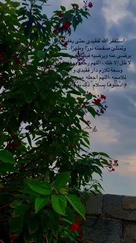 استغفرو لعلهاتشفع لااخى 💔💔