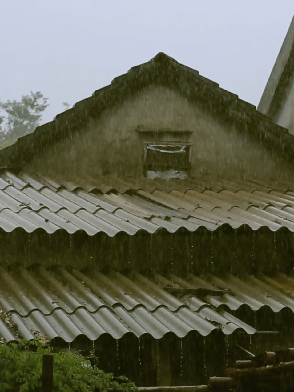 Hạnh phúc giản dị là khi ngoài trời mưa rả rích, trong căn bếp nhỏ lại ngập tràn mùi cá kho mẹ nấu, thơm lừng, quyện cùng hương cơm cháy thoảng nhẹ. Cả nhà quây quần bên mâm cơm, tiếng cười nói rộn ràng, rồi cùng ngồi trước tivi, xem chung một bộ phim quen thuộc. Luôn có một ngày xưa như vậy, một ngày xưa nhỏ xíu trong tiềm thức. Luôn có những thứ tưởng như cũ rích mà đủ khiến ta tưởng nhớ một đời, một thời hoài niệm... #KyUc #quehuong #binhyen #colorofmemory 