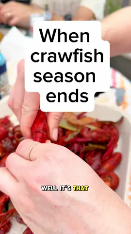 Crawfish season is coming to an end in New Orleans 😭 //// I make fun videos around New Orleans, highlight local businesses, New Orleans life, and I’m a licensed tour guide offering daily New Orleans adventures! DM me for more info! #nola #neworleans #louisiana