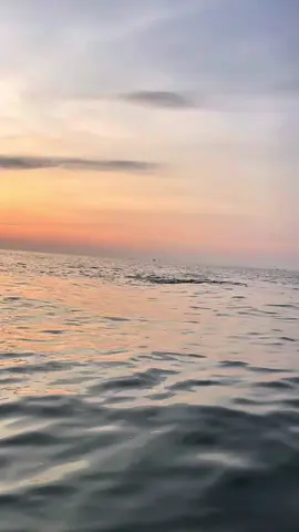 Bướm đón bình minh #xuhuong #swimming 