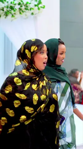 #yäáshidaymesha  #habesha#tigrignamusic #somalitiktok